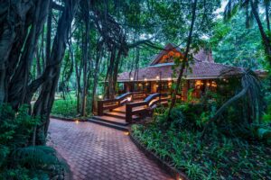 Cozy forest cottage with lit pathway and wooden bridge at dusk.