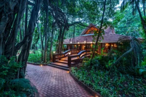 Cozy forest cottage with lit pathway and wooden bridge at dusk.