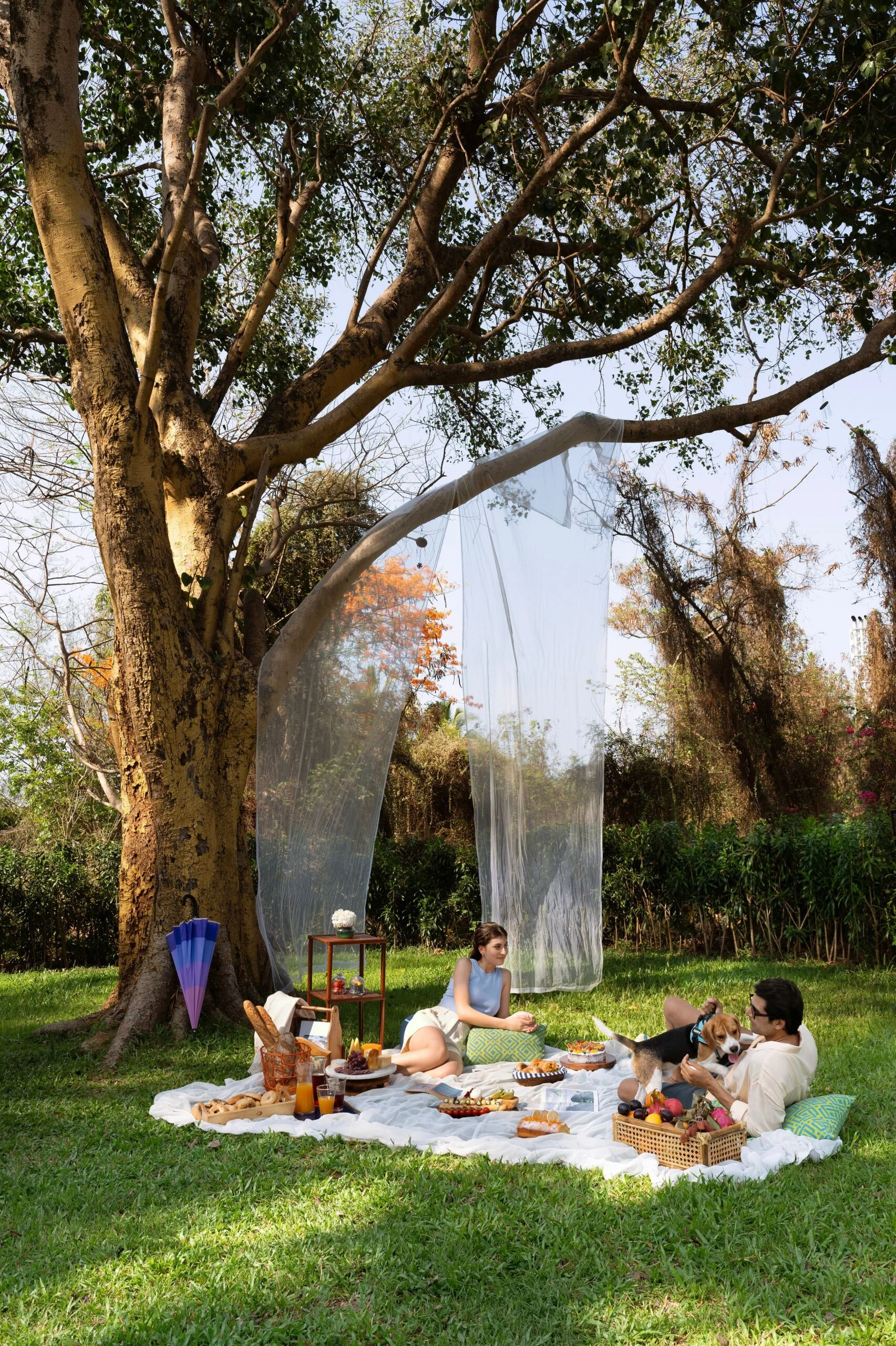 Couple enjoying a picnic under a large tree with their dog, beautifully styled by a hotel and resort photographer.