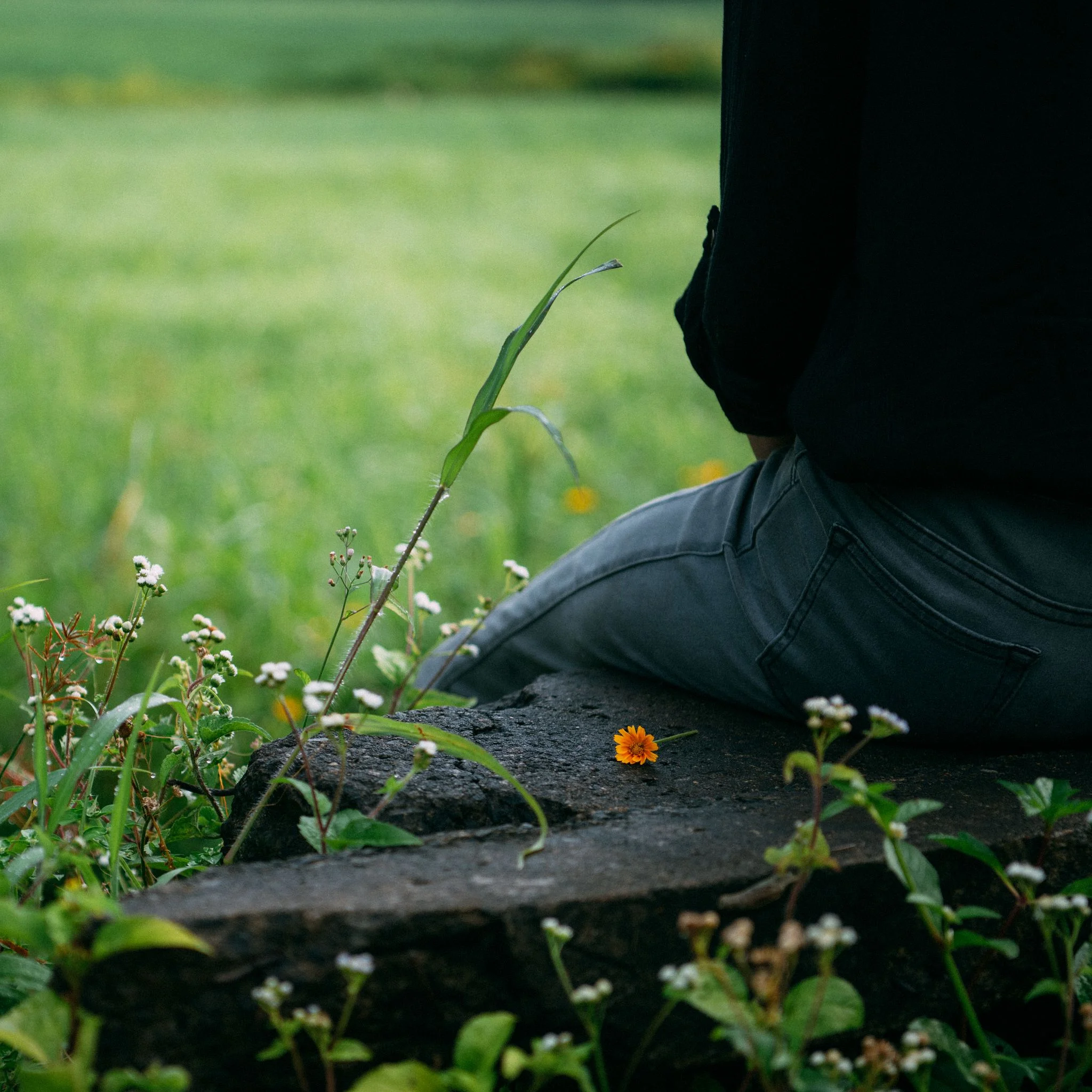 Person sitting outdoors on a stone surrounded by green grass and small wildflowers.